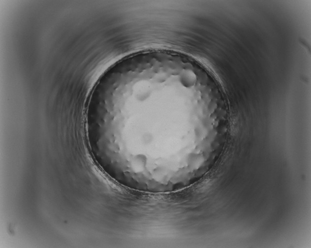 X0000099940903200806061515