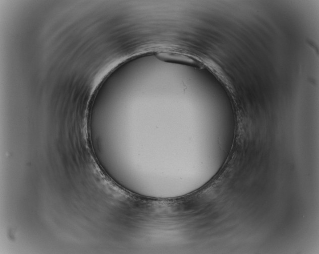 X0000099940904200806061515