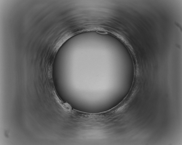 X0000099940905200806061515