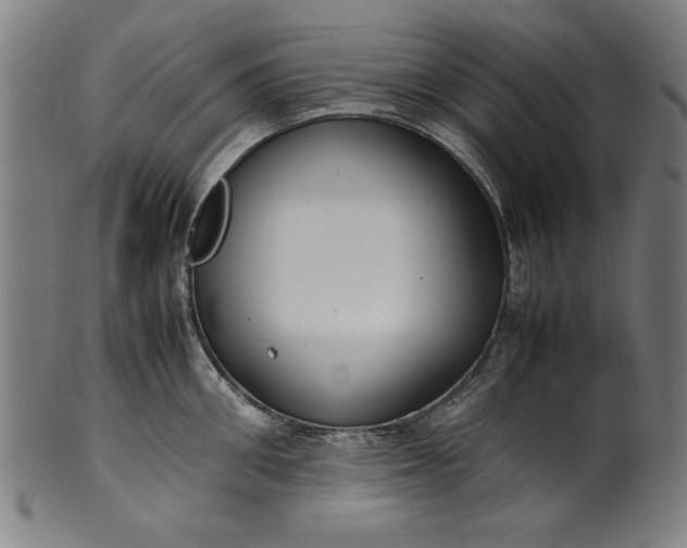 X0000099940906200806061515