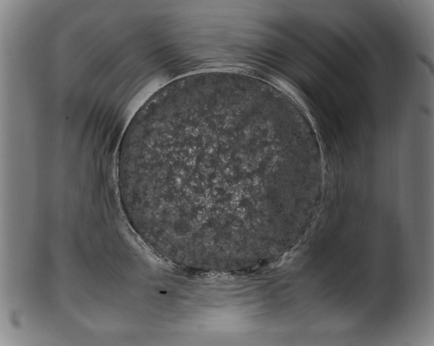 X0000099940907200806061515