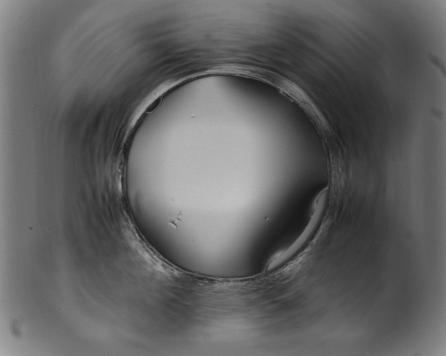 X0000099940908200806061515