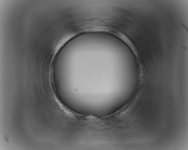 X0000099940909200806061515