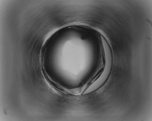 X0000099940910200806061515