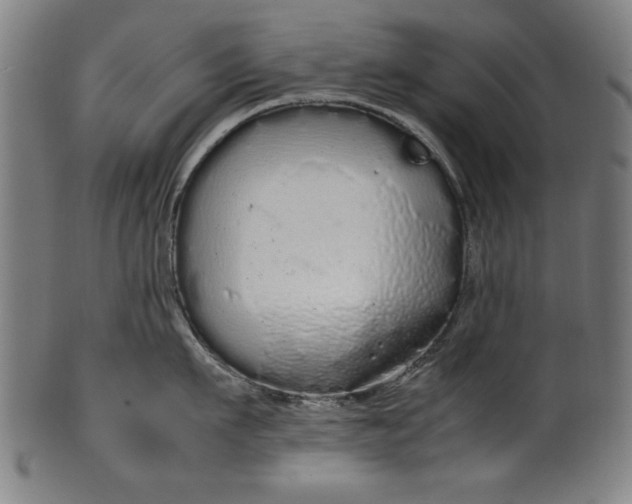 X0000099940911200806061515