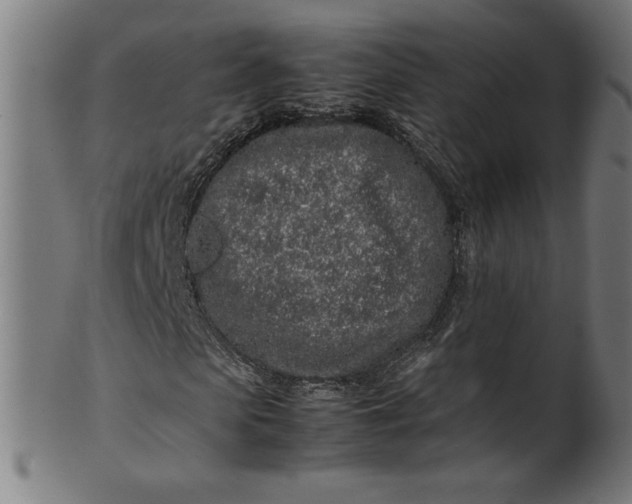 X0000099940913200806061514