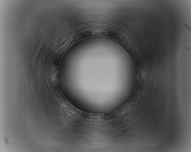 X0000099940914200806061514