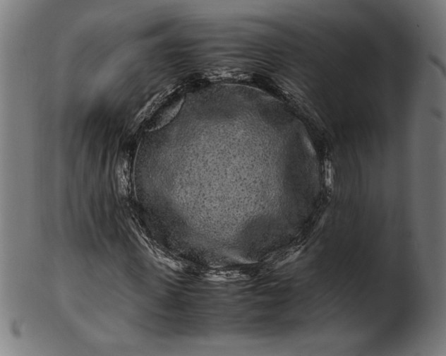 X0000099940915200806061514