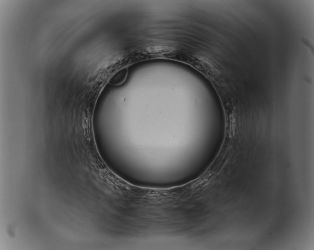 X0000099940917200806061514