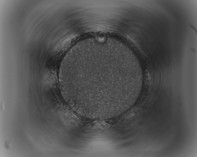 X0000099940918200806061514