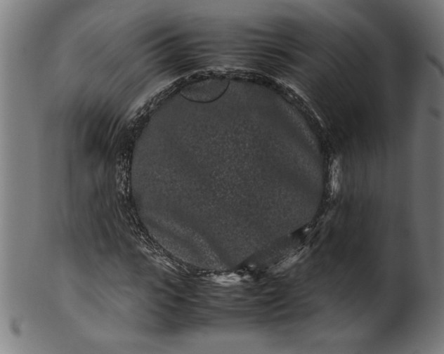 X0000099940919200806061514