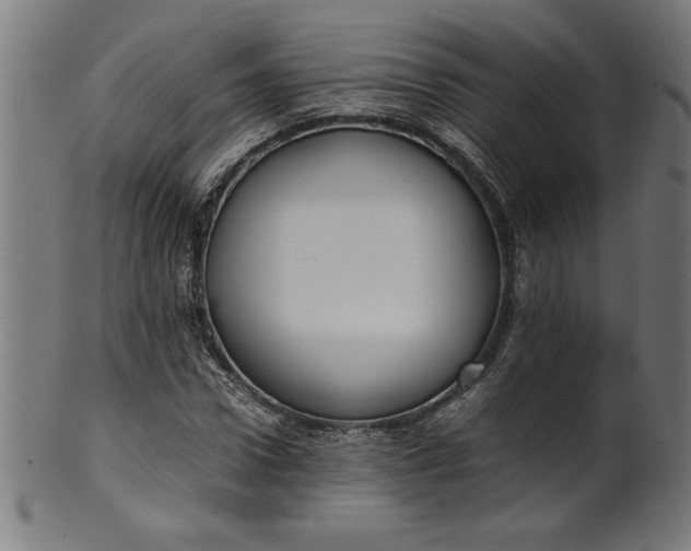 X0000099940922200806061514
