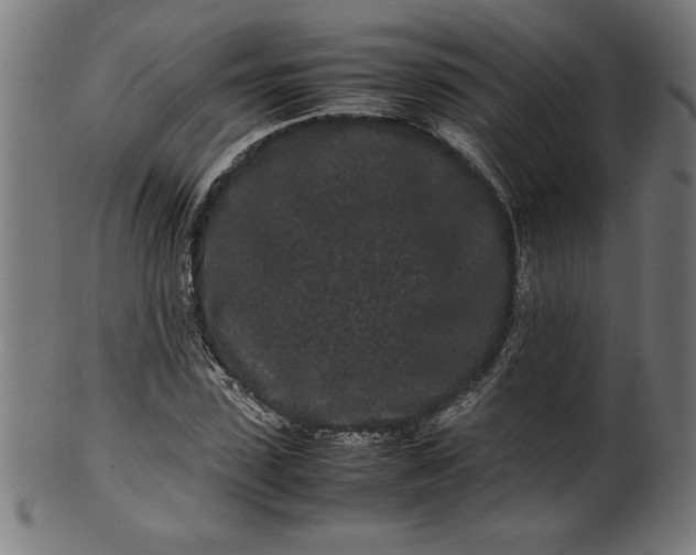 X0000099940923200806061514
