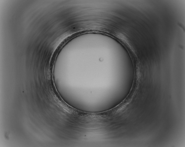 X0000099940924200806061514