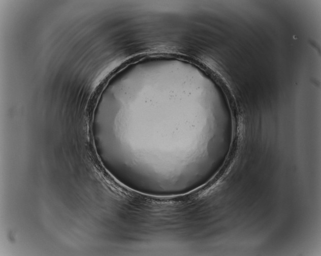 X0000099940925200806061514