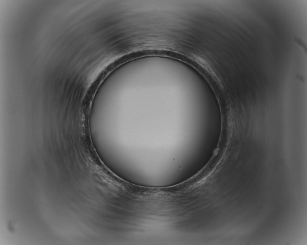 X0000099940926200806061514