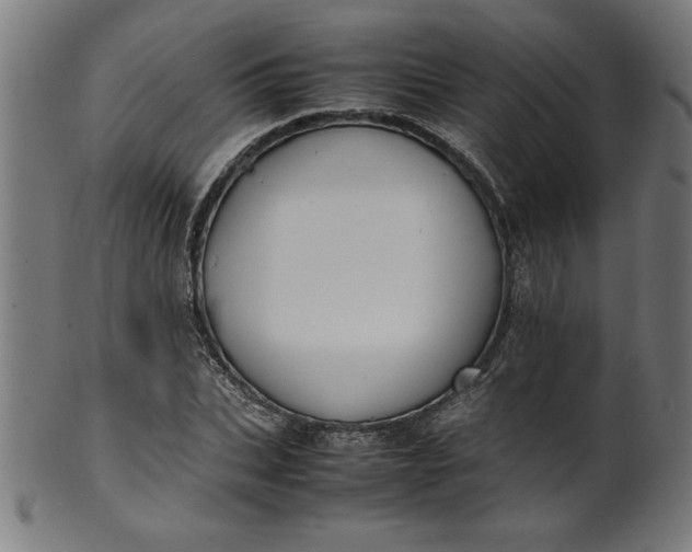 X0000099940927200806061514