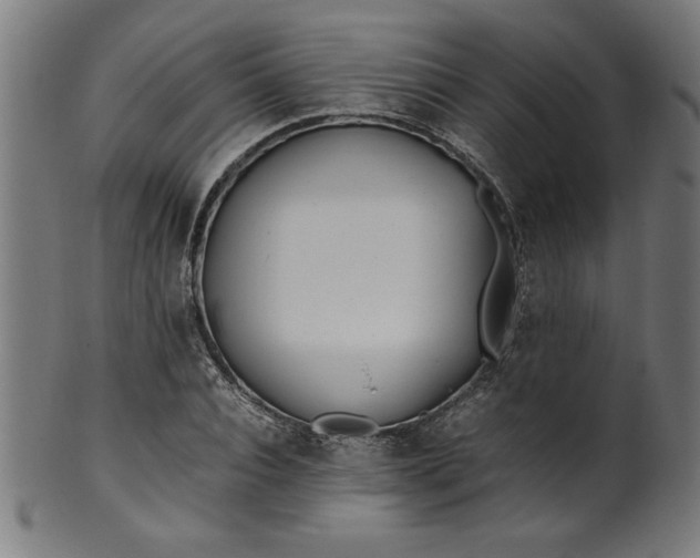 X0000099940928200806061514
