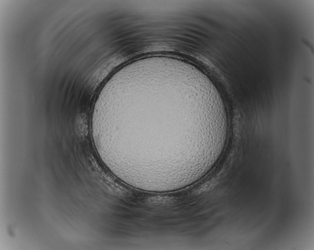 X0000099940929200806061514