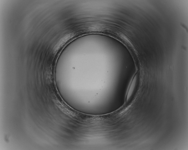 X0000099940930200806061515