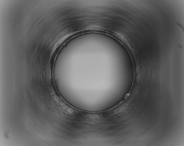 X0000099940931200806061515