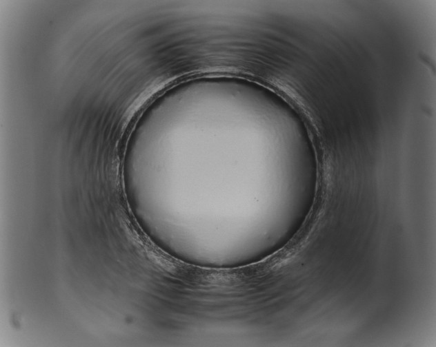 X0000099940933200806061515