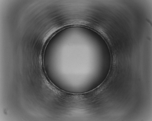X0000099940936200806061515