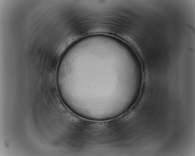 X0000099940937200806061515