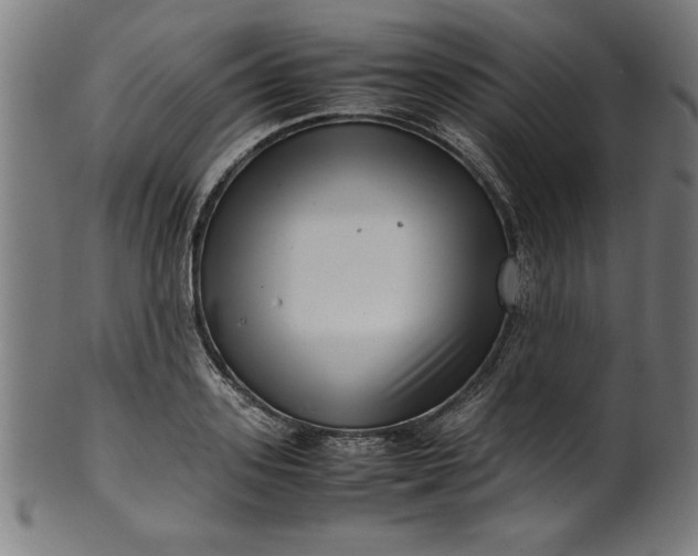 X0000099940939200806061515