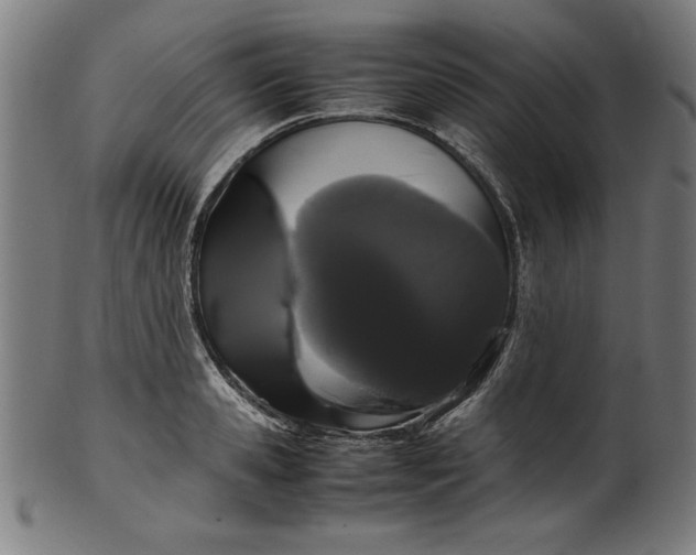 X0000099940941200806061515