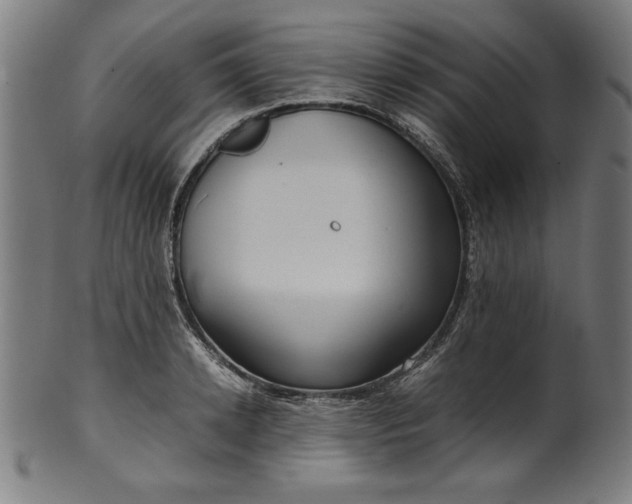 X0000099940942200806061515