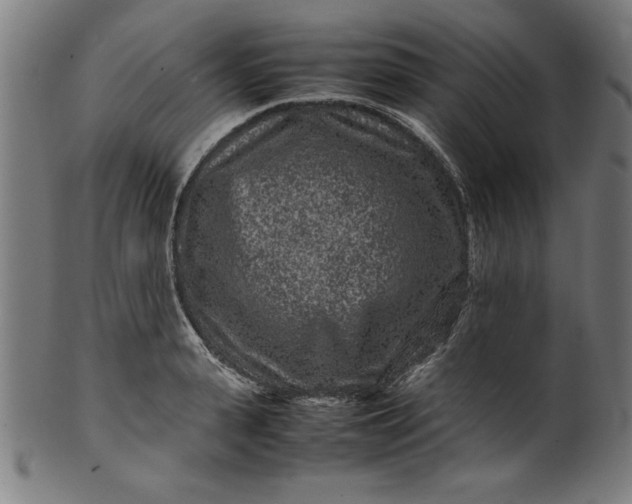 X0000099940943200806061515