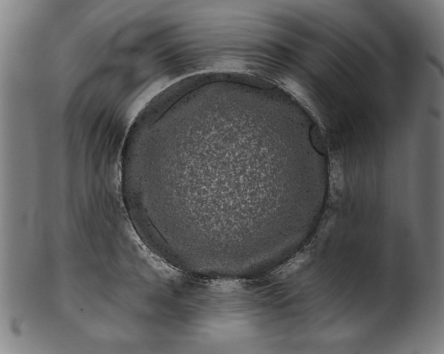 X0000099940944200806061515