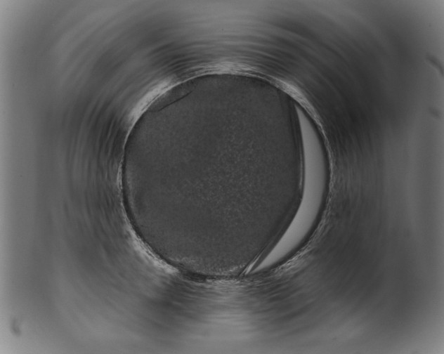 X0000099940946200806061515