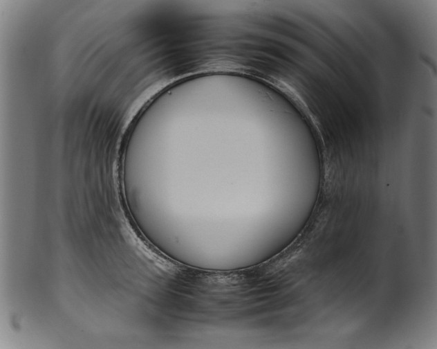 X0000099940947200806061515