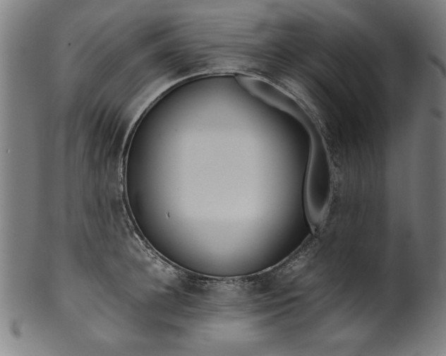 X0000099940948200806061515