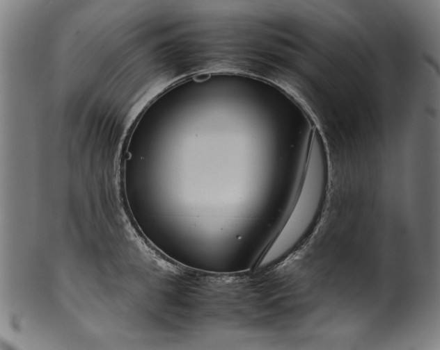 X0000099940949200806061515