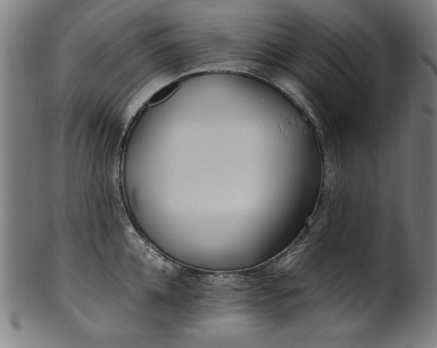 X0000099940952200806061515