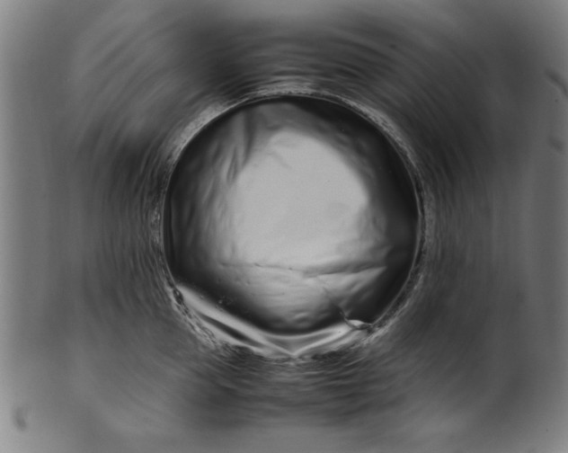 X0000099940953200806061515
