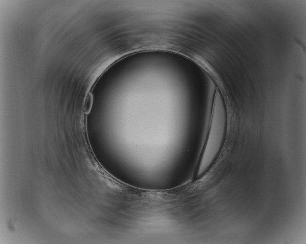 X0000099940956200806061515