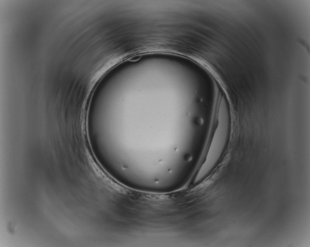 X0000099940957200806061515