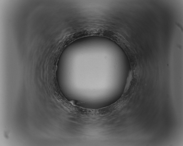 X0000099940961200806061514