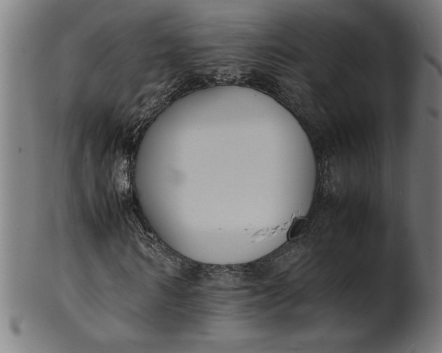 X0000099940962200806061514