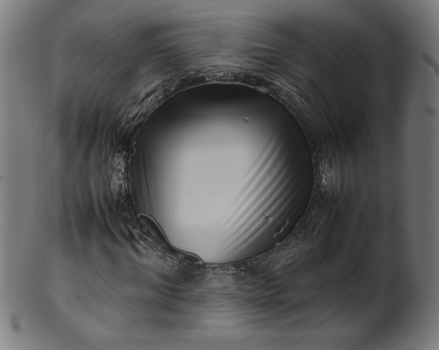 X0000099940964200806061514