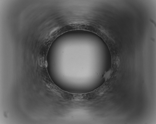 X0000099940965200806061514