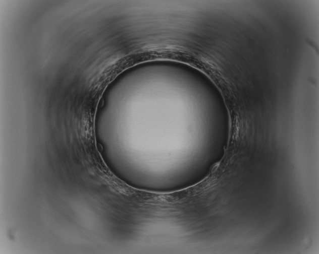 X0000099940966200806061514