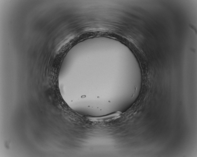 X0000099940967200806061514