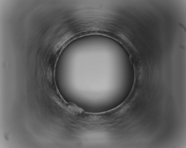 X0000099940969200806061514