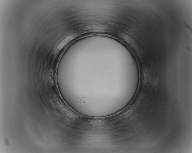 X0000099940970200806061514