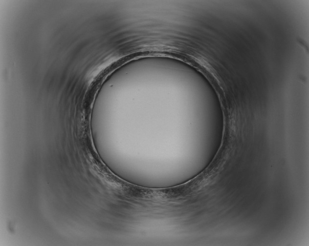 X0000099940971200806061514
